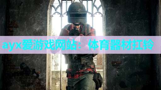 ayx爱游戏网站：体育器材扛铃