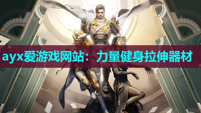 ayx爱游戏网站：力量健身拉伸器材