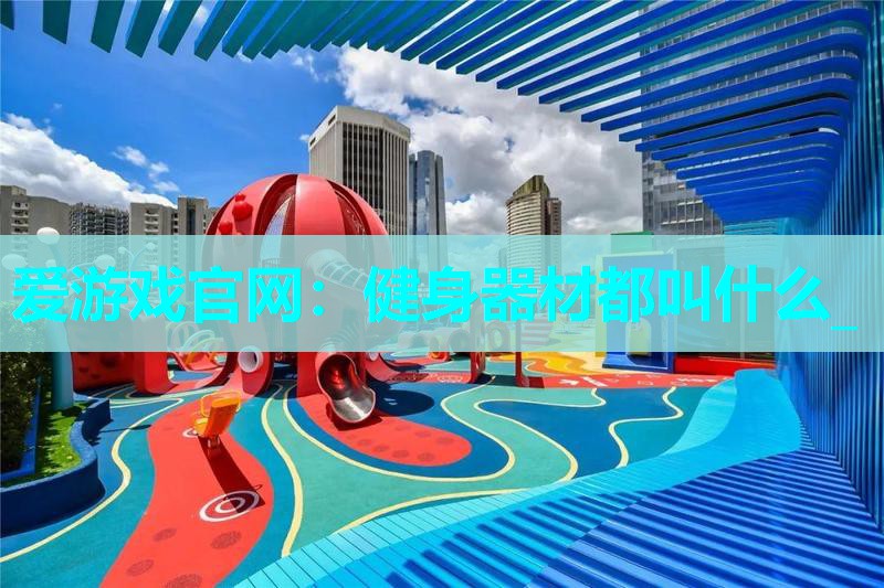 爱游戏官网：健身器材都叫什么_