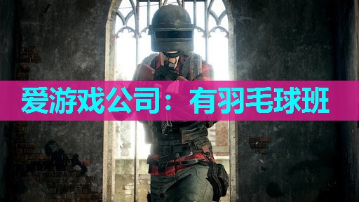 爱游戏公司：有羽毛球班