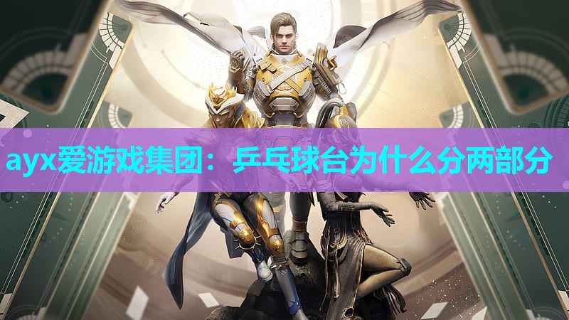 乒乓球台为什么分两部分