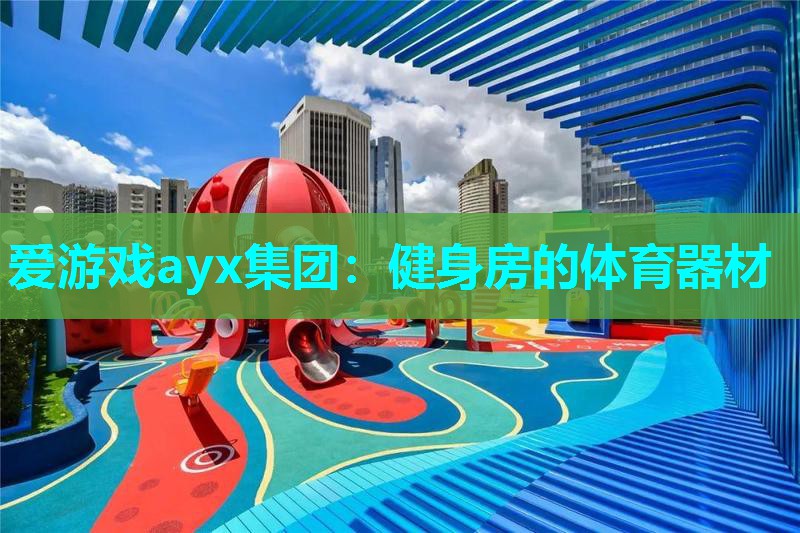 健身房的体育器材